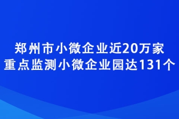 鄭州市小微企業(yè)近20萬家 重點(diǎn)監(jiān)測(cè)小微企業(yè)園達(dá)131個(gè)
