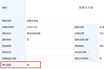 東風(fēng)汽車(chē)集團(tuán)有限公司申請(qǐng)“嵐圖元宇宙”商標(biāo)被駁回