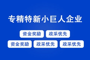 專精特新企業(yè)的認(rèn)定標(biāo)準(zhǔn)是什么？