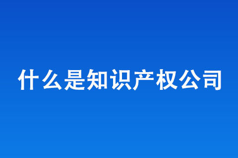 什么是知識產(chǎn)權(quán)公司