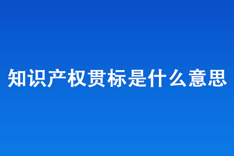 知識產(chǎn)權貫標有什么用