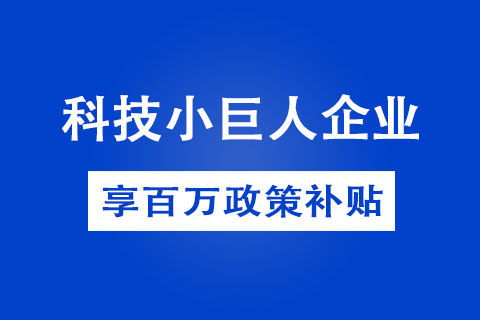 鄭州市科技小巨人企業(yè)認(rèn)定方式