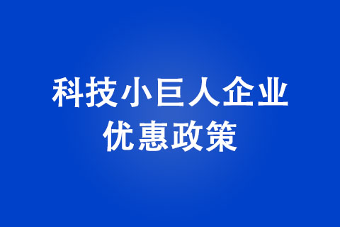 鄭州市科技小巨人企業(yè)補(bǔ)貼政策