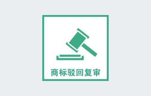 一般商標駁回的類型有哪些？