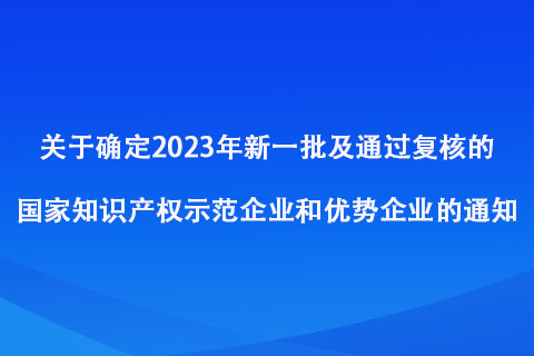 2023年新一批及通過復(fù)核的國家知識產(chǎn)權(quán)示范企業(yè)和優(yōu)勢企業(yè)名單