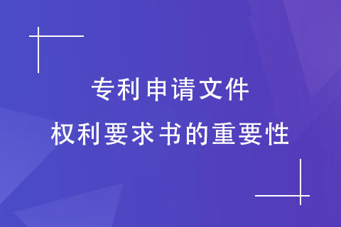權(quán)利要求書的重要性